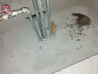 波密卫生间测漏水价格明细