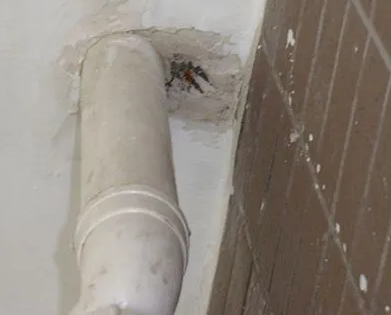 波密漏水检测哪家好